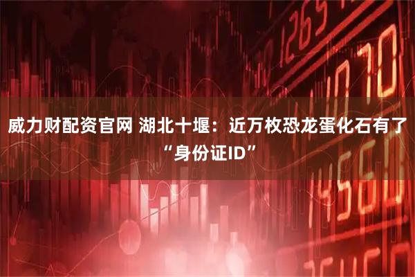 威力财配资官网 湖北十堰：近万枚恐龙蛋化石有了“身份证ID”