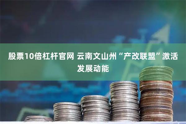 股票10倍杠杆官网 云南文山州“产改联盟”激活发展动能