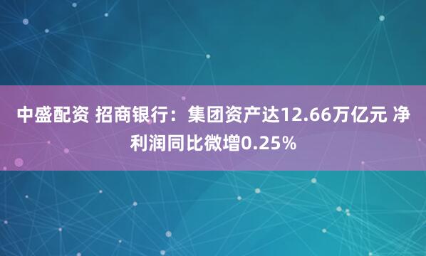 中盛配资 招商银行：集团资产达12.66万亿元 净利润同比微增0.25%