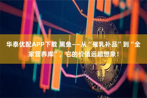 华泰优配APP下载 黑鱼——从“催乳补品”到“全家营养库”，它的价值远超想象！