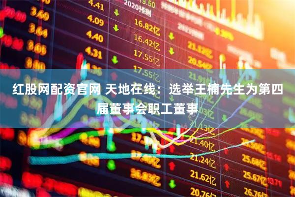 红股网配资官网 天地在线：选举王楠先生为第四届董事会职工董事